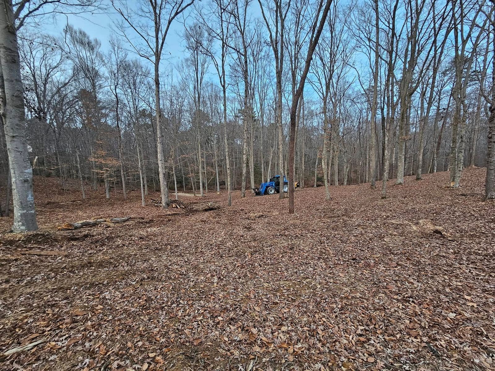 Fall Cleanup in Waldorf, MD