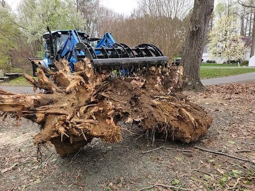 Stump Removal in Waldorf, MD