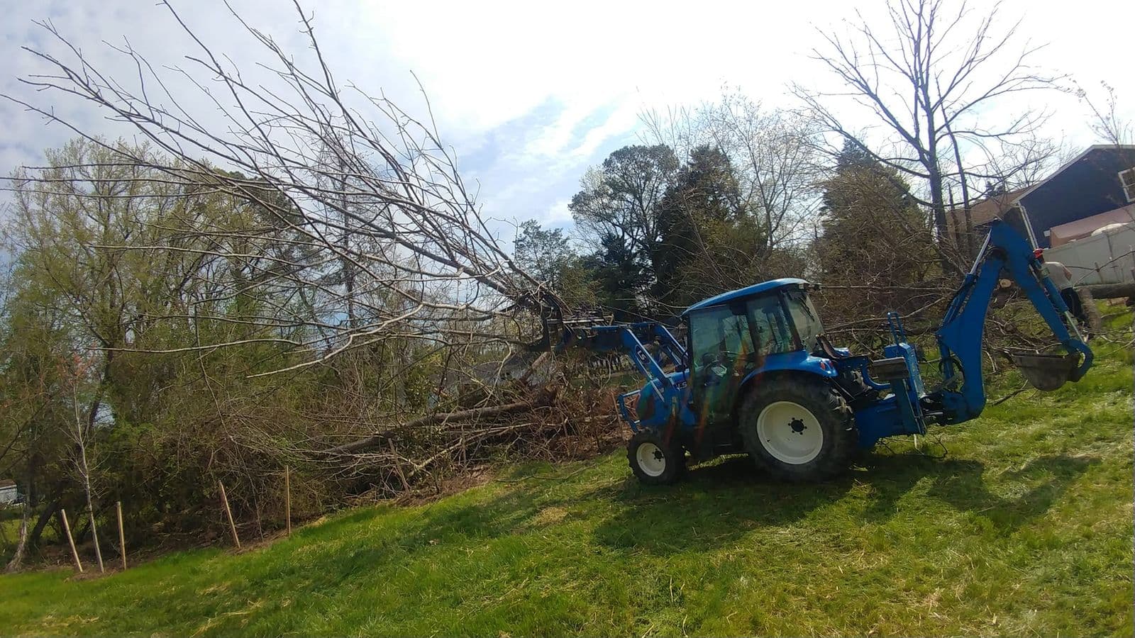 Emergency Tree Services in Waldorf, MD