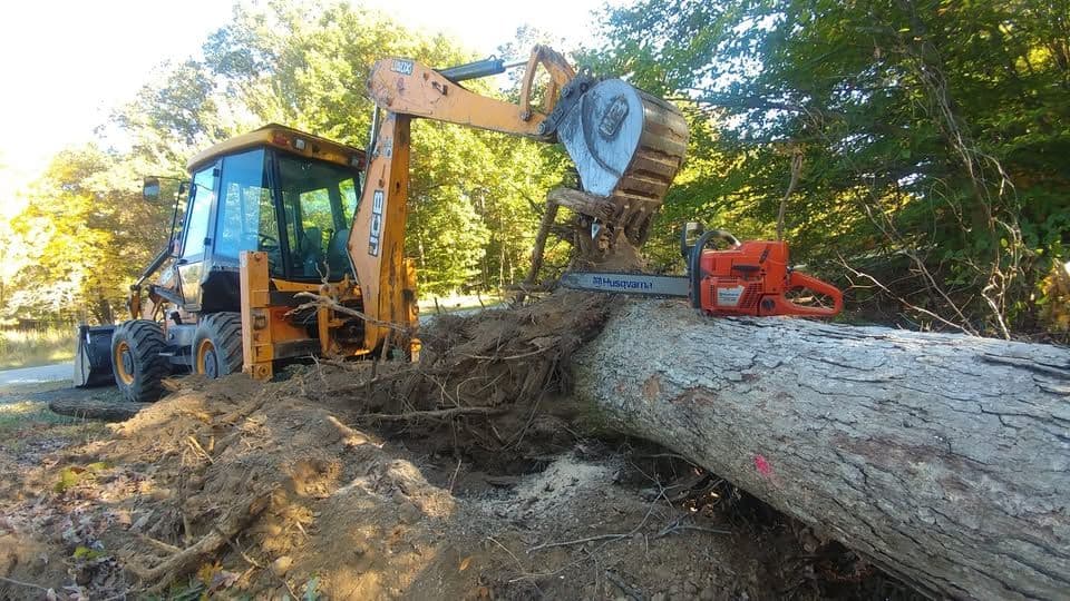 Emergency storm-damaged tree removal in Southern Maryland