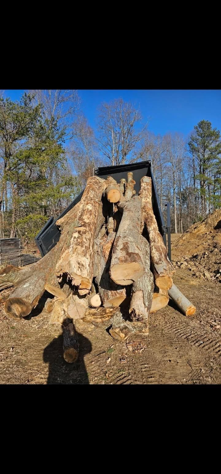 Tree removal and log haul-away in Southern Maryland by Hired Gunz Services